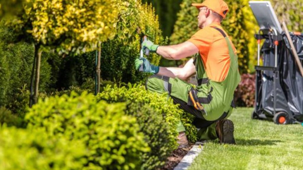Gardener Jobs in Spain