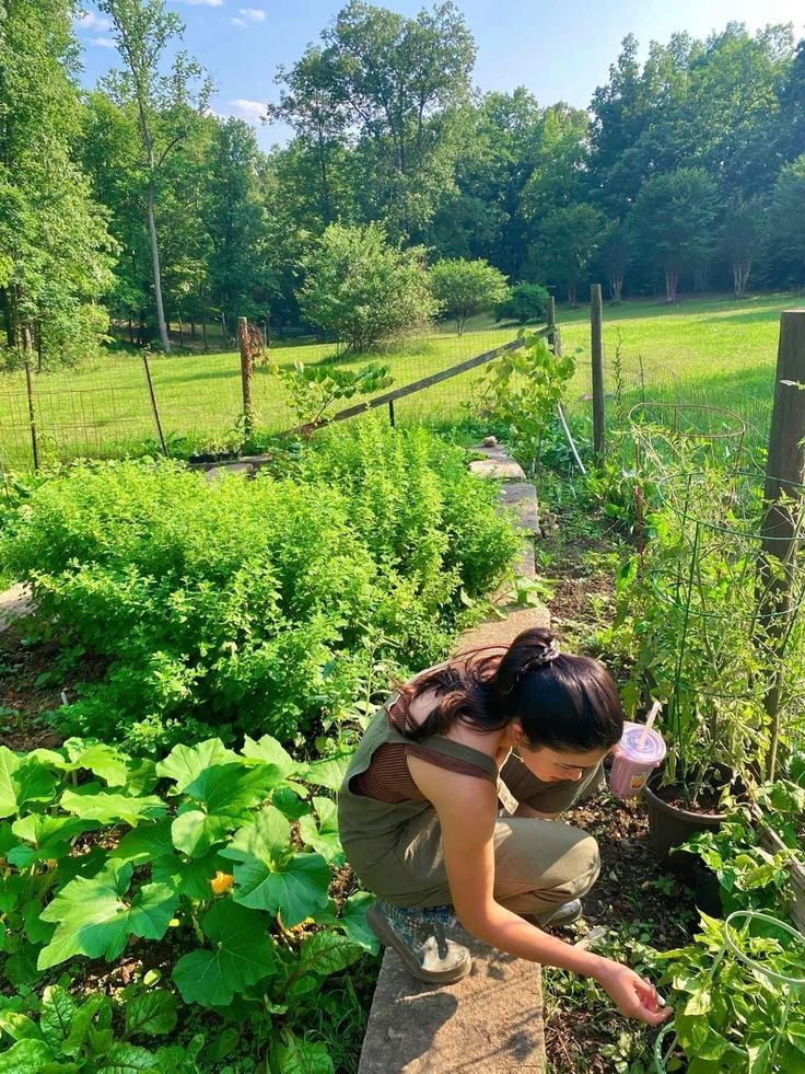 Gardener Job in New Zealand