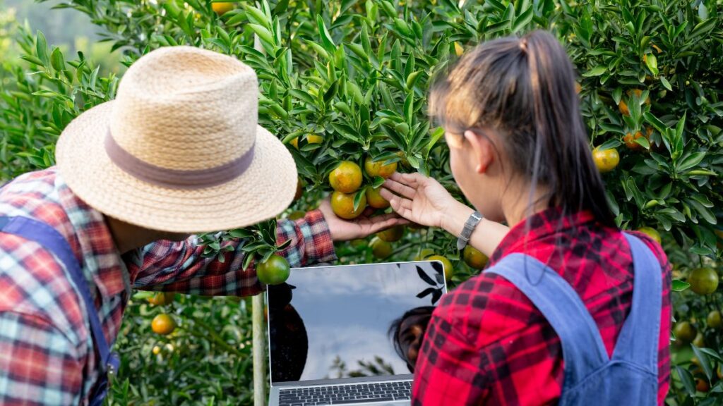 farmer jobs in Australia