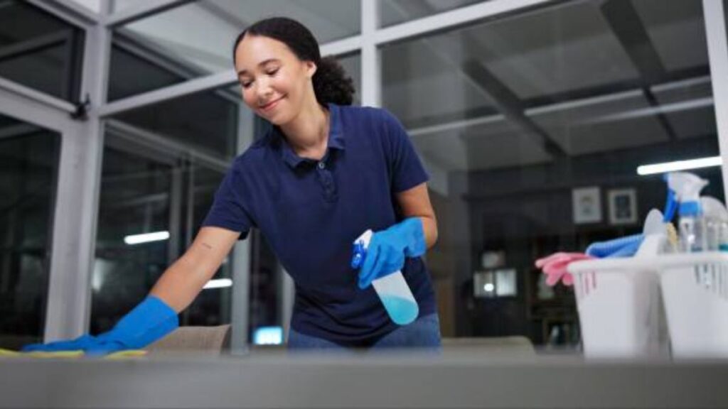 Cleaner Jobs in South Africa