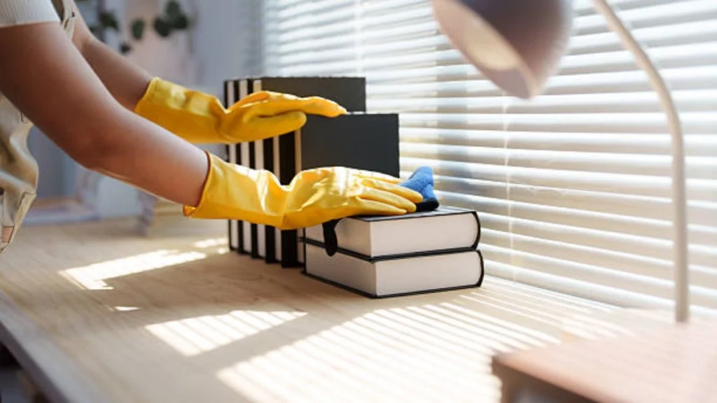 Cleaner Job in New Zealand