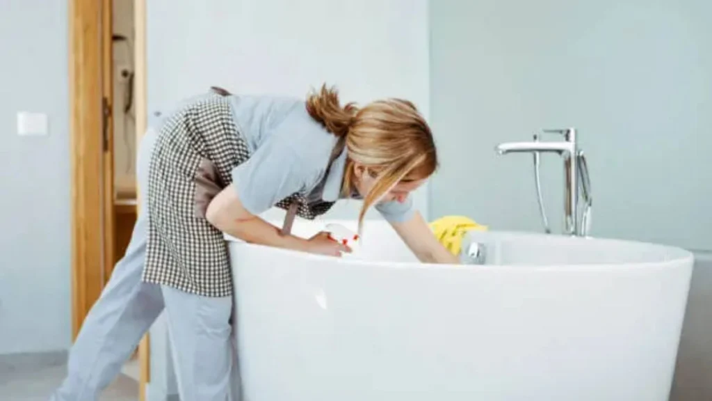Home Cleaner Job in New Zealand